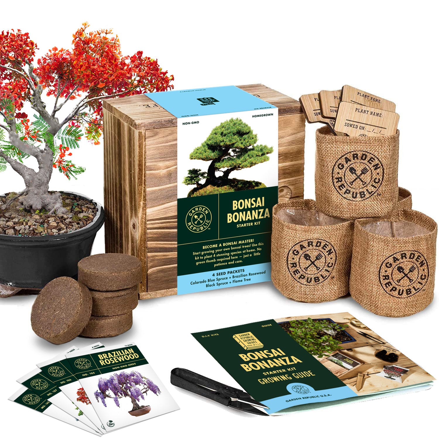 Garden Republic Bonsai Seed Starter Kit - Grow 4 Mini Bonsai Trees, In