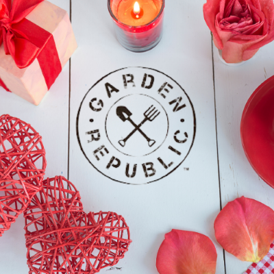 Need A Valentines Day Gift For Your Loved One? We Can Help You Out!
