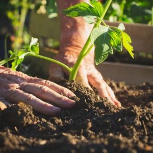 Why We Love to Garden- Seven Benefits of Organic Gardening