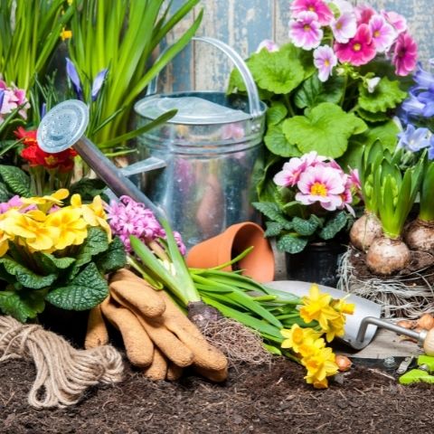 Summer Garden Crafts with Garden Republic