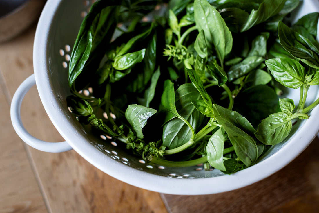 5 Recipes with Basil