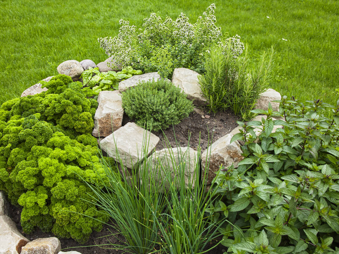 Herb Spiral Gardening: Adding A Twist To Your Growing Space