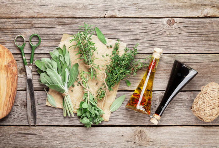 Top 10 Culinary Herbs to Grow Indoors