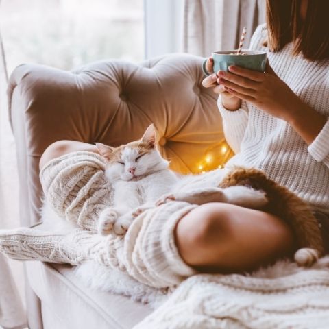 Tasty Brews for Your Mind, Body, and Soul: Grow Four Kinds of Herbal Tea!