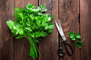 5 Recipes with Parsley