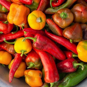 Grow your own Pepper Patch with our 8-variety Pepper Seed Set