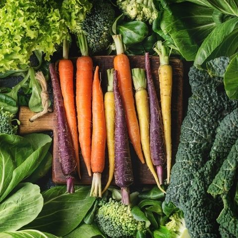 10 Tips for Beginning Vegetable Gardeners