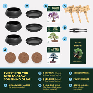Bonsai Stoneware Starter Kit