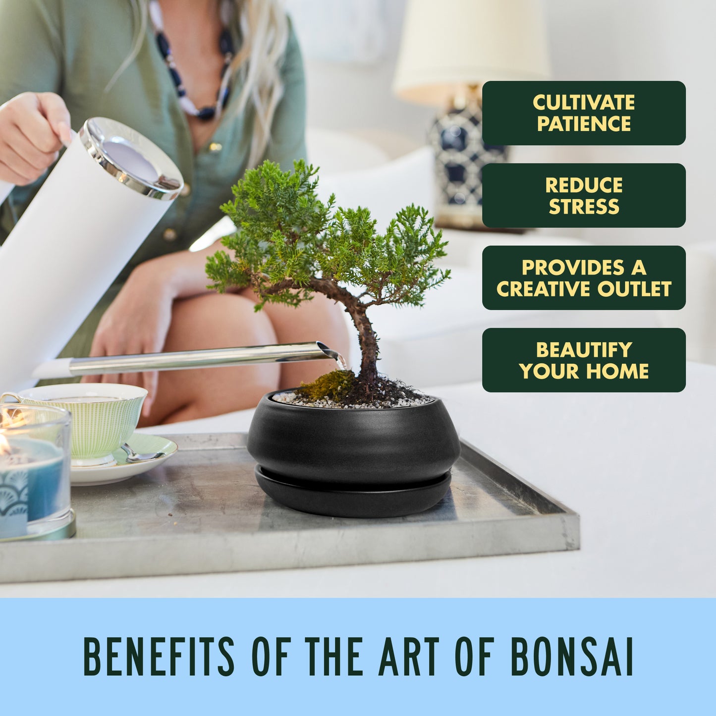 Bonsai Stoneware Starter Kit
