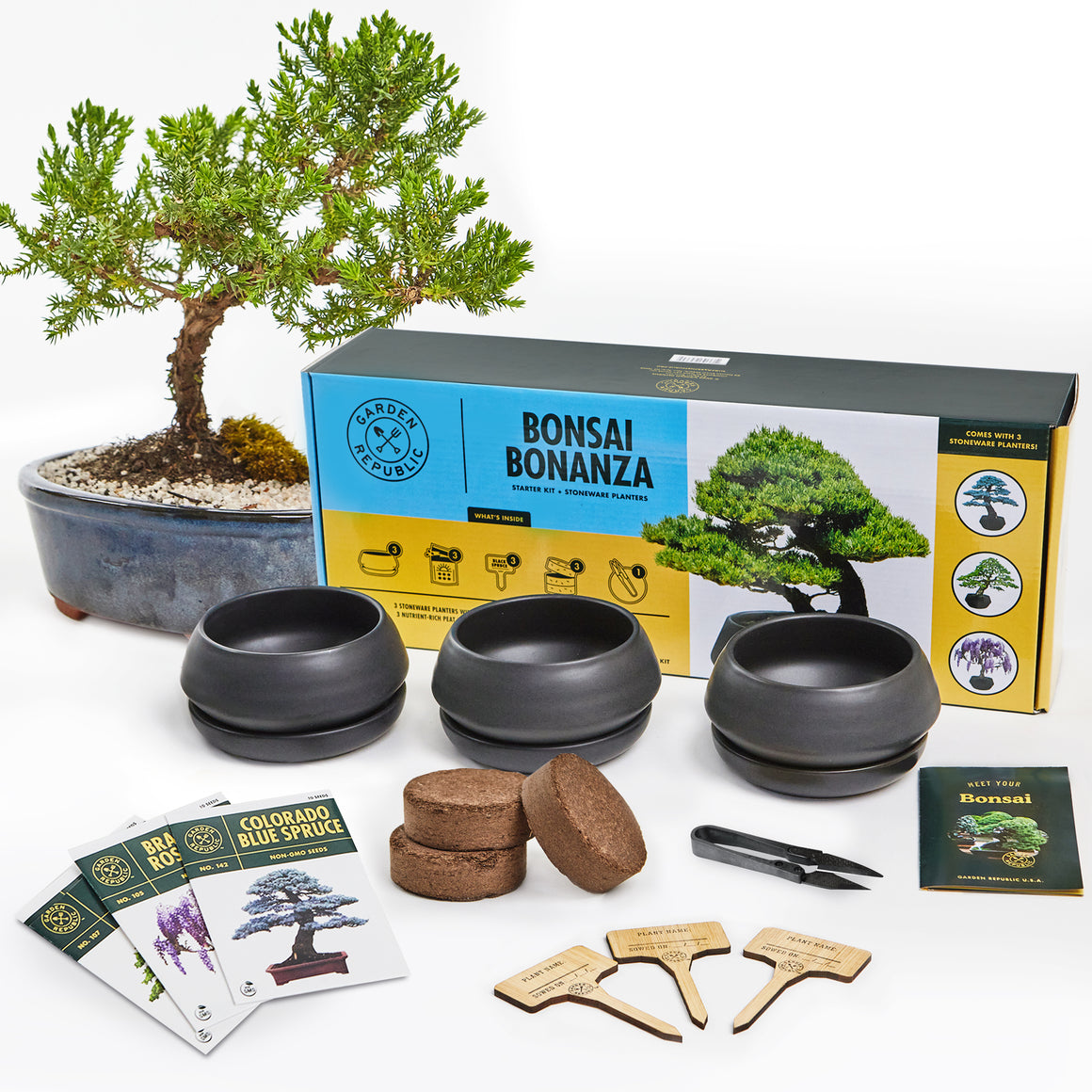 Bonsai Stoneware Starter Kit