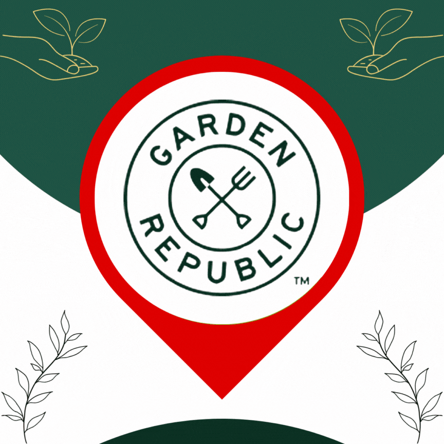Garden Republic Cactus And Succulent Starter Kit : Target