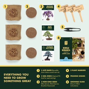 Garden Republic Bonsai Tree Kit - Grow 3 Mini Bonsai Trees, Indoor Plant Growing Kit - Bonsai Starter Kit with Bonsai Seeds, Soil, Planters & Shears