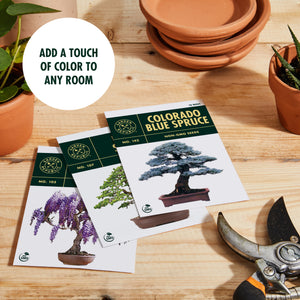 Garden Republic Bonsai Tree Kit - Grow 3 Mini Bonsai Trees, Indoor Plant Growing Kit - Bonsai Starter Kit with Bonsai Seeds, Soil, Planters & Shears
