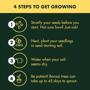 Garden Republic Bonsai Tree Kit - Grow 3 Mini Bonsai Trees, Indoor Plant Growing Kit - Bonsai Starter Kit with Bonsai Seeds, Soil, Planters & Shears