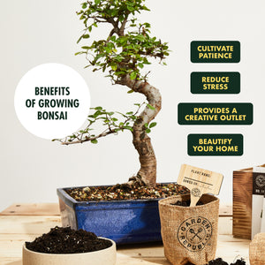Garden Republic Bonsai Tree Kit - Grow 3 Mini Bonsai Trees, Indoor Plant Growing Kit - Bonsai Starter Kit with Bonsai Seeds, Soil, Planters & Shears
