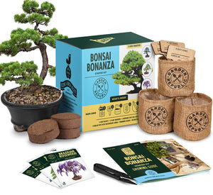 Garden Republic Bonsai Tree Kit - Grow 3 Mini Bonsai Trees, Indoor Plant Growing Kit - Bonsai Starter Kit with Bonsai Seeds, Soil, Planters & Shears