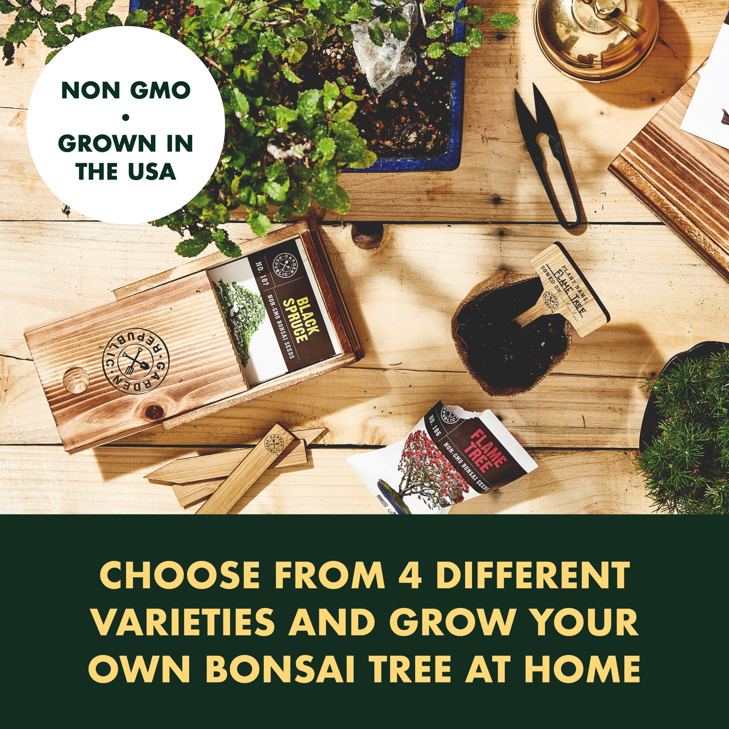 4-Variety Bonsai Seed Box with Wooden Plant Markers