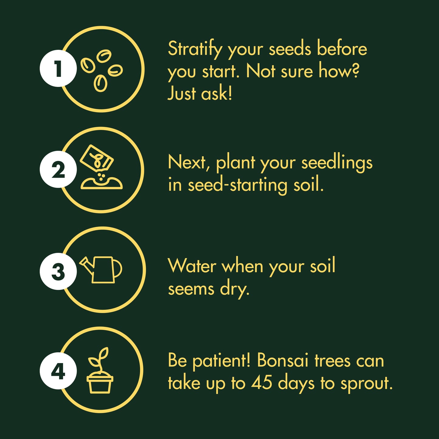 4-Variety Bonsai Seed Box with Wooden Plant Markers