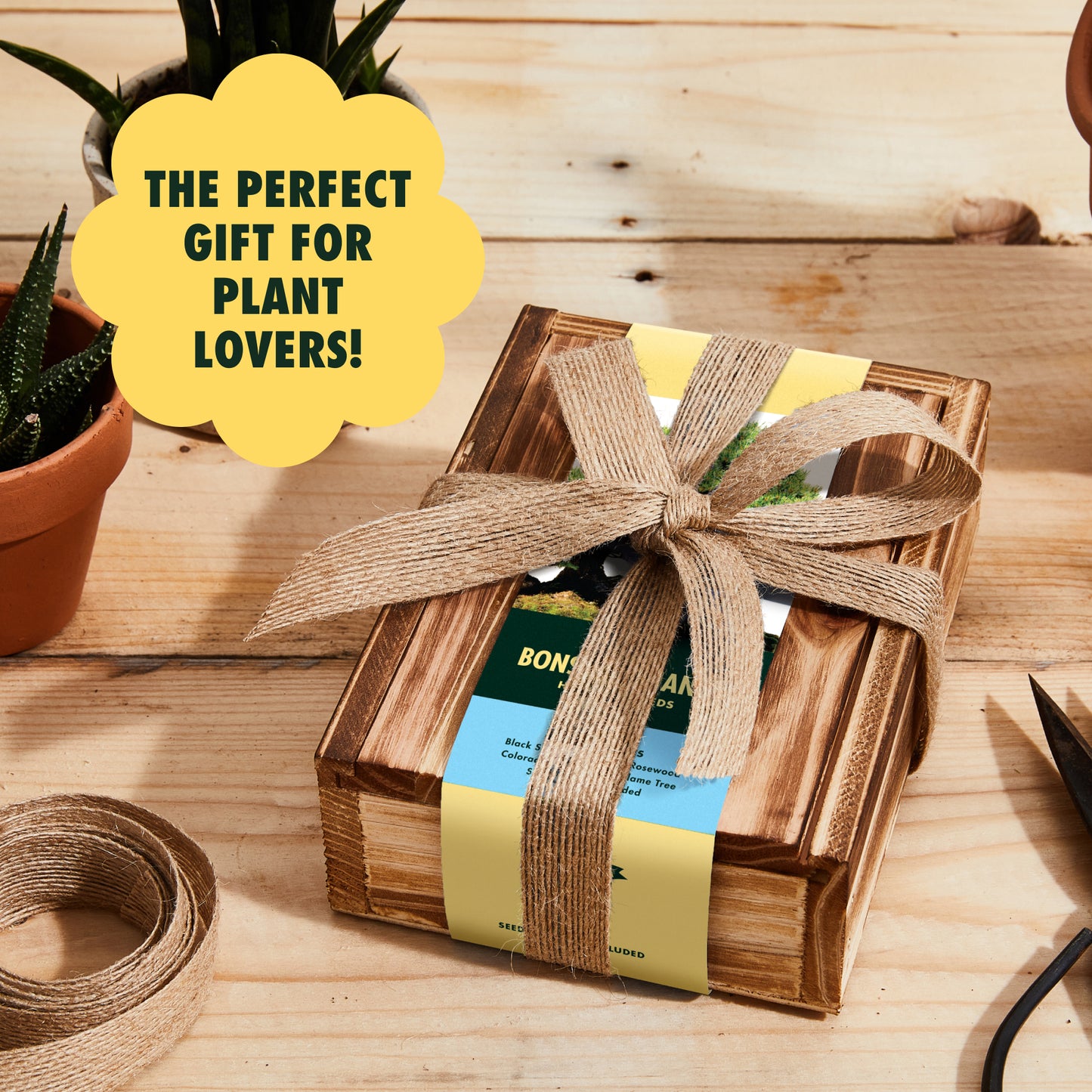 4-Variety Bonsai Seed Box with Wooden Plant Markers