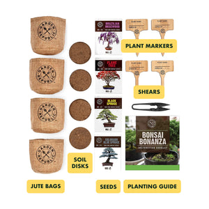 Garden Republic Bonsai Seed Starter Kit - Grow 4 Mini Bonsai Trees, Indoor Plant Growing Kit - Bonsai Starter Kit with Bonsai Seeds, Soil, Planters & Shears