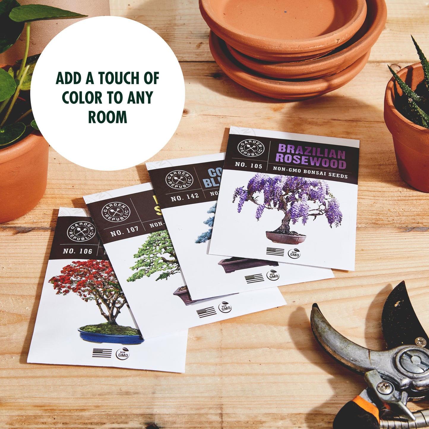 Garden Republic Bonsai Seed Starter Kit - Grow 4 Mini Bonsai Trees, Indoor Plant Growing Kit - Bonsai Starter Kit with Bonsai Seeds, Soil, Planters & Shears