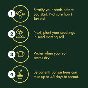 Garden Republic Bonsai Seed Starter Kit - Grow 4 Mini Bonsai Trees, Indoor Plant Growing Kit - Bonsai Starter Kit with Bonsai Seeds, Soil, Planters & Shears