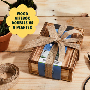 8-Variety Bonsai Seed Box with Wooden Plant Markers