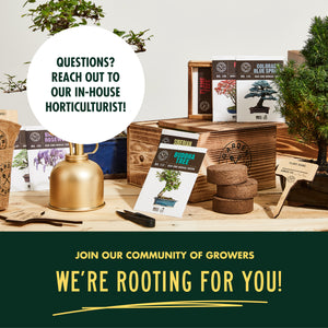 8-Variety Bonsai Seed Box with Wooden Plant Markers