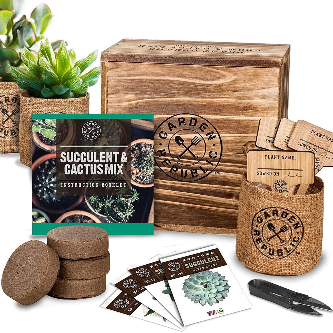Cactus & Succulent Seed Starter Kit