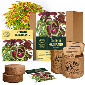 Indoor Garden Kit - Coleus Seeds for Planting - Plant Seeds for House Plants with Potting Soil, Pots & Plant Markers