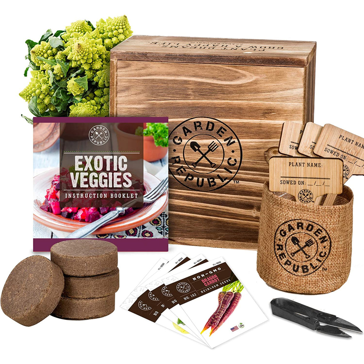 Indoor Vegetable Garden Seeds Starter Kit - Romanesco Broccoli, Lemon Cucumber, Rainbow Swiss Chard, Purple Dragon Carrot