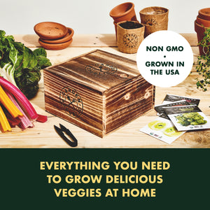 Indoor Vegetable Garden Seeds Starter Kit - Romanesco Broccoli, Lemon Cucumber, Rainbow Swiss Chard, Purple Dragon Carrot