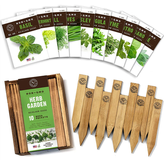Culinary Herb Seeds for Planting - 10-Packet Non-GMO & Heirloom Seed Set