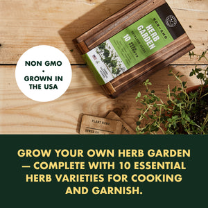Culinary Herb Seeds for Planting - 10-Packet Non-GMO & Heirloom Seed Set