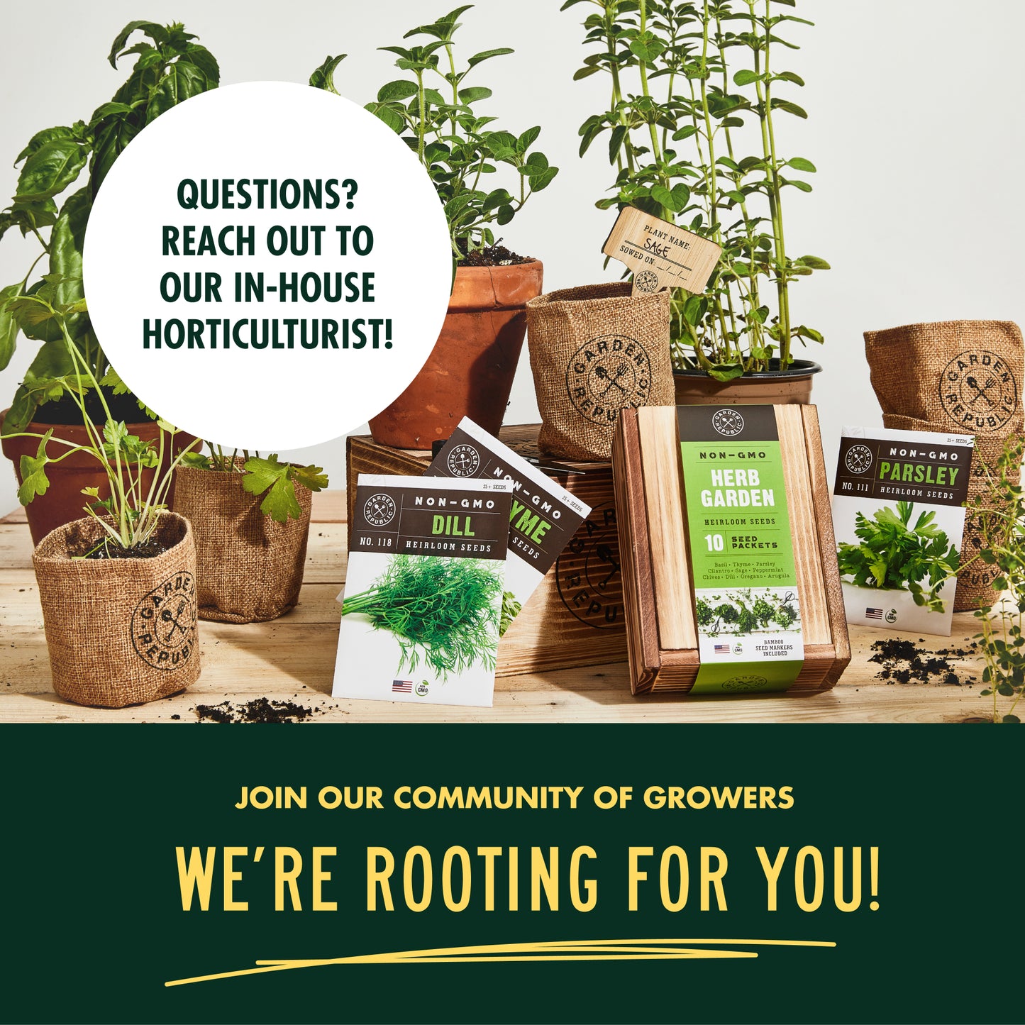 Culinary Herb Seeds for Planting - 10-Packet Non-GMO & Heirloom Seed Set