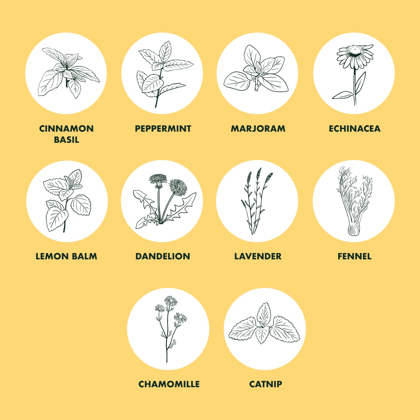 Herbal Tea Garden Seed Set  - 10-Packet Non-GMO & Heirloom Seed Set