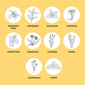 Herbal Tea Garden Seed Set  - 10-Packet Non-GMO & Heirloom Seed Set
