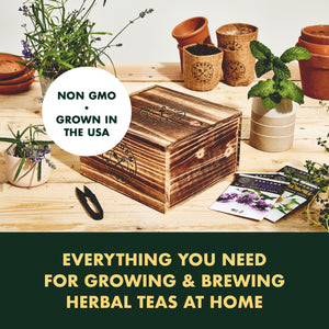 Herbal Tea Garden Starter Kit - Non-GMO, Heirloom Variety Seeds