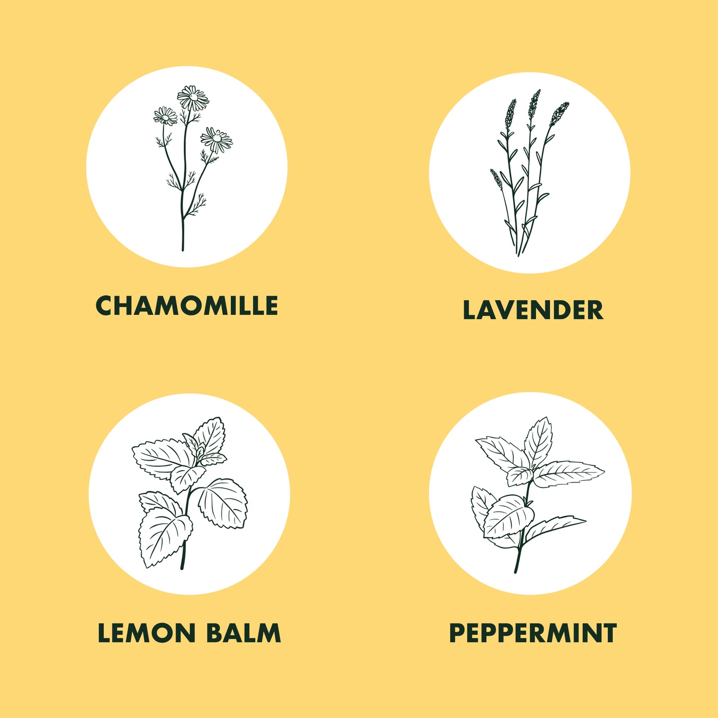 Herbal Tea Garden Starter Kit - Non-GMO, Heirloom Variety Seeds