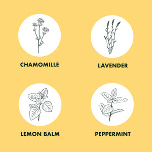 Herbal Tea Garden Starter Kit - Non-GMO, Heirloom Variety Seeds