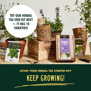 Herbal Tea Garden Starter Kit - Non-GMO, Heirloom Variety Seeds