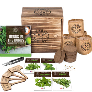Indoor Culinary Herb Garden Starter Kit - Non-GMO, Heirloom Variety Seeds