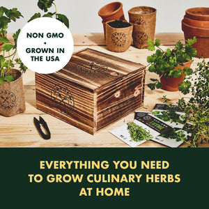 Indoor Culinary Herb Garden Starter Kit - Non-GMO, Heirloom Variety Seeds