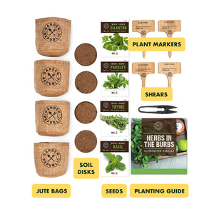 Indoor Culinary Herb Garden Starter Kit - Non-GMO, Heirloom Variety Seeds