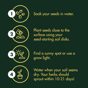 Indoor Culinary Herb Garden Starter Kit - Non-GMO, Heirloom Variety Seeds