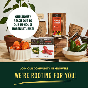 Pepper Seeds for Garden Planting - 8 Non-GMO Heirloom Pepper Seed Packets