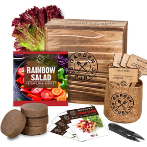 Indoor Vegetable Garden Seed Starter Kit - Fiesta Radish, Golden Beets, Red Lettuce, Lemon Cucumber