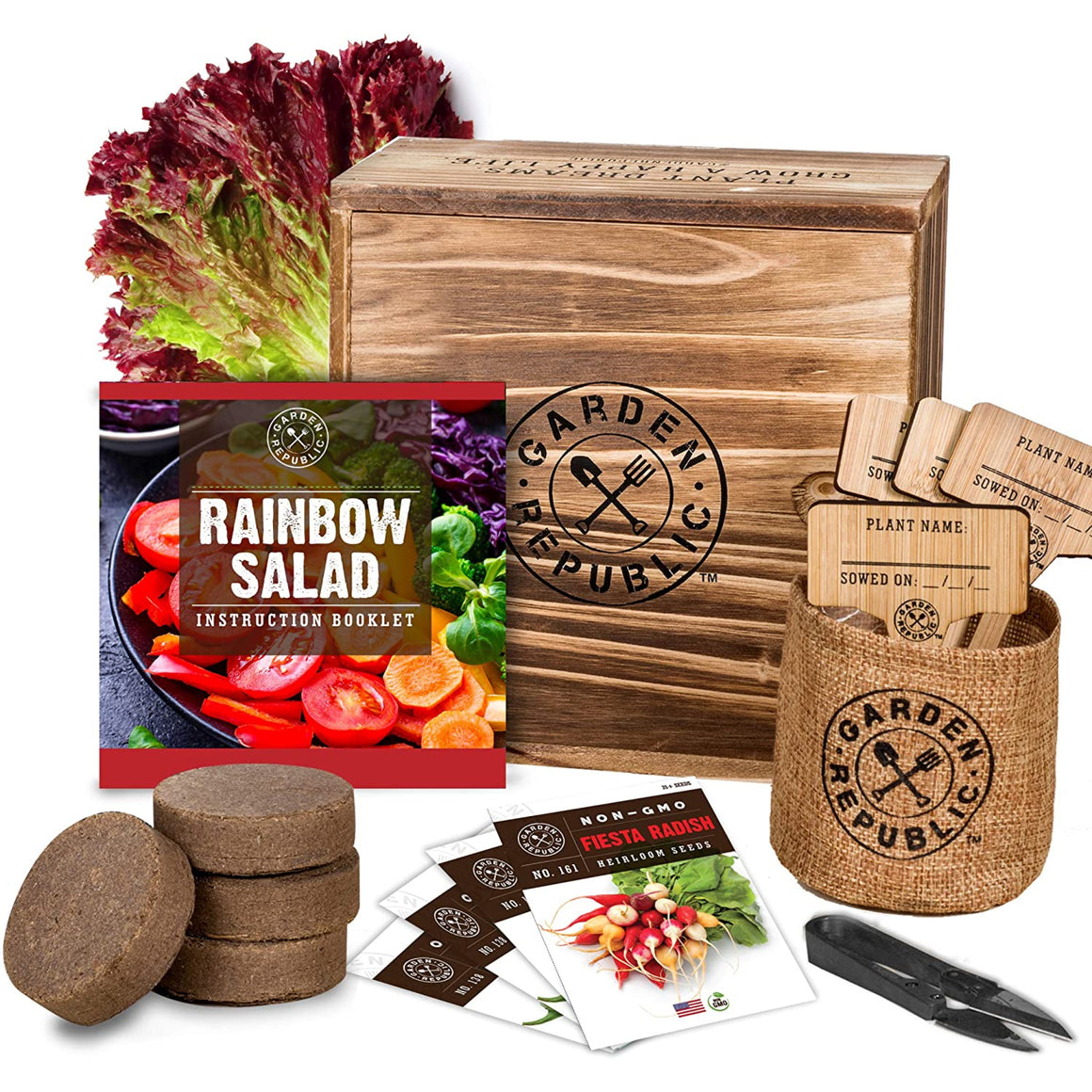 Indoor Vegetable Garden Seed Starter Kit - Fiesta Radish, Golden Beets, Red Lettuce, Lemon Cucumber