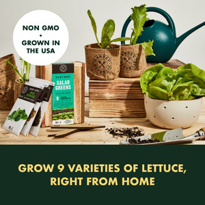 Garden Lettuce Seeds for Planting, 9 Non-GMO Heirloom Seed Packets