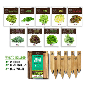 Garden Lettuce Seeds for Planting, 9 Non-GMO Heirloom Seed Packets